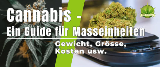 Ein Guide zu Cannabis-Maßeinheiten| Gewicht, Größe, Kosten und alles was du wissen musst.