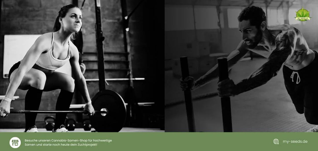 Sportler und Fitnessbegeisterte haben begonnen, Cannabis, hauptsächlich CBD und THC, als Teil von Nahrungsergänzungsmitteln zu konsumieren, um die Trainingsaktivität zu steigern und die Erholungszeit zu verkürzen.