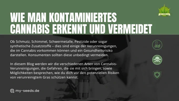 kontaminiertes Cannabis