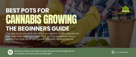 Beste Töpfe für Cannabis: Ein Leitfaden für Anfänger