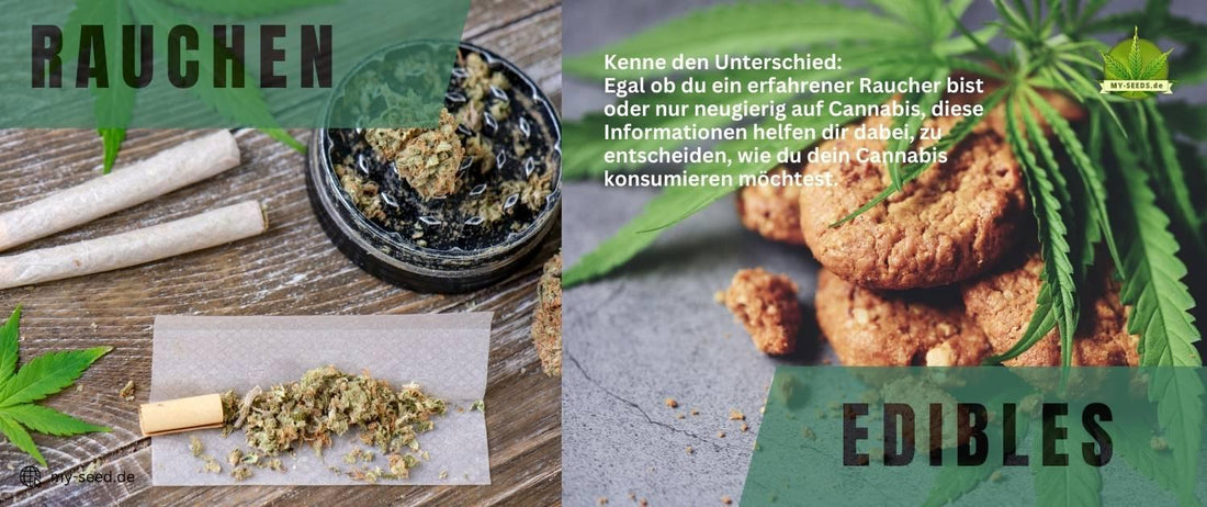 smoking cannabis versus eating cannabis