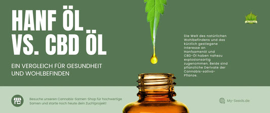 Flasche CBD-Öl