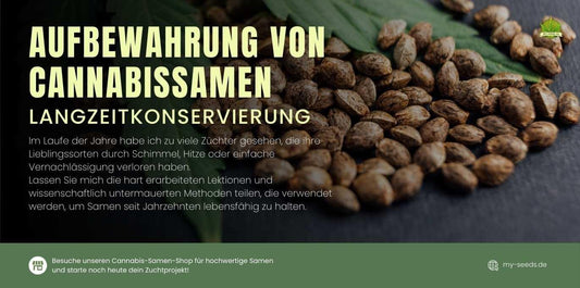 Langzeitkonservierung von Cannabis-Samen – Schimmel, Hitze und Feuchtigkeit vermeiden für maximale Haltbarkeit.
