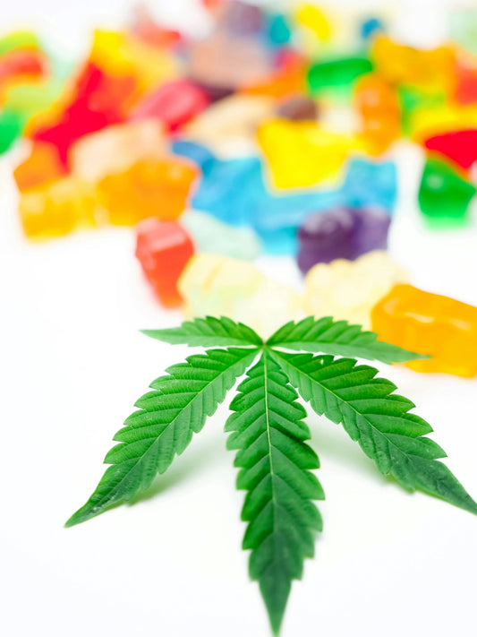 Die besten Cannabis Anfängersorten