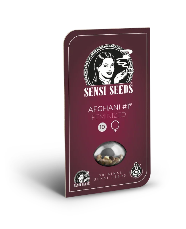 Afghani #1 feminisierte Samen von Sensi Seeds in bordeauxfarbener Verpackung mit Sichtfenster und Markenlogo