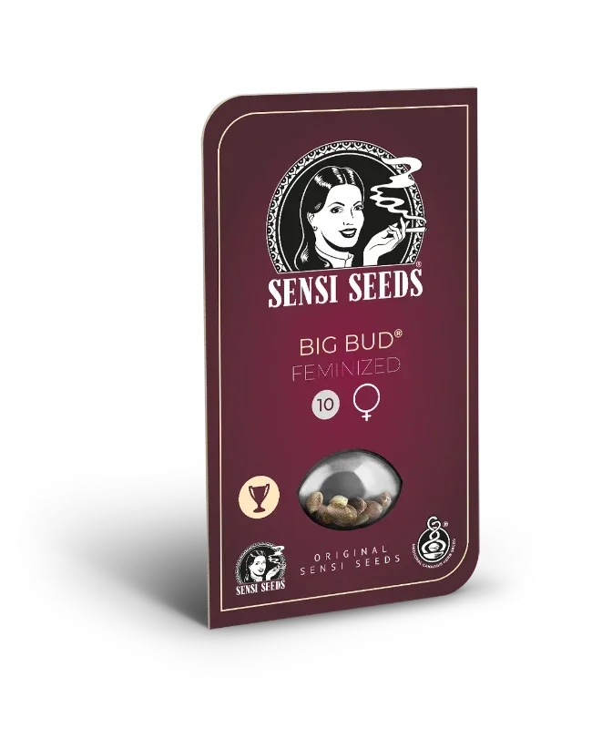 Sensi Seeds Verpackung der Big Bud feminisiert Sorte in dunklem Rot mit Logo und Sichtfenster
