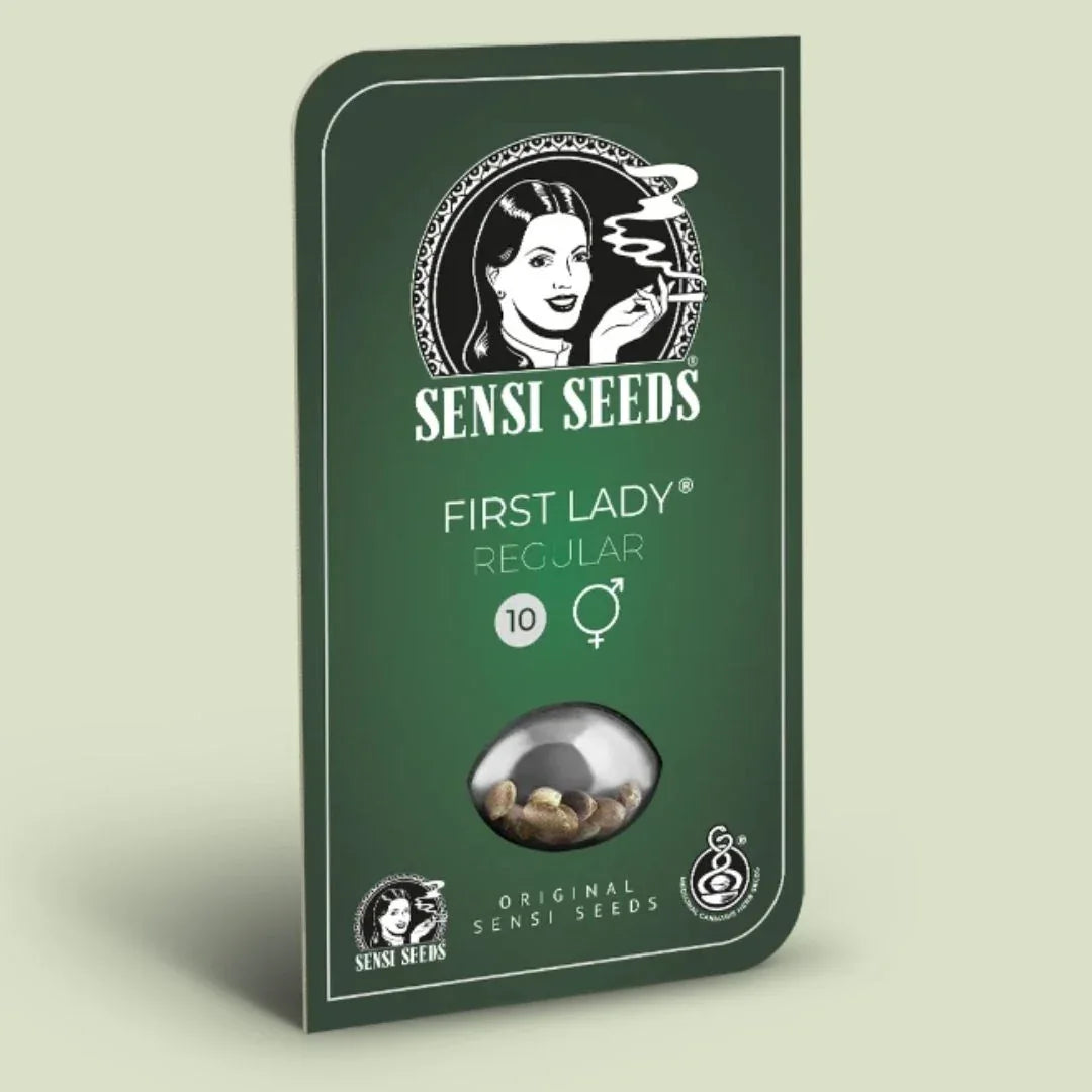 Dunkelgrüne First Lady Samenverpackung von Sensi Seeds mit Logo und Sichtfenster
