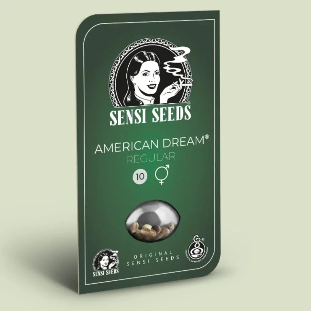 Grüne Verpackung von Sensi Seeds mit der Aufschrift American Dream Regular und Sichtfenster für Samen.