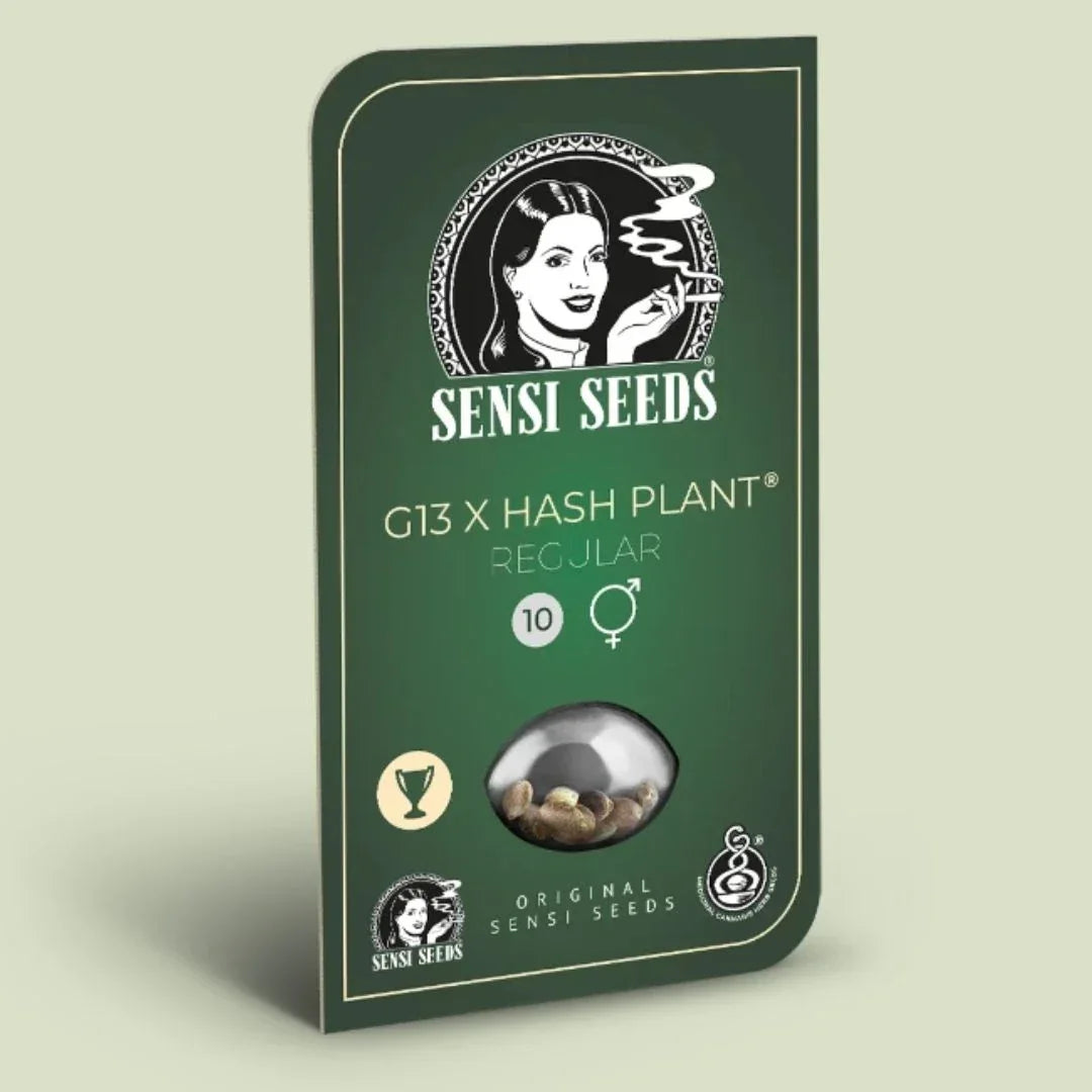 Verpackung der regulären Mr Nice G13 X Hash Plant Samen von Sensi Seeds mit Logo und Sortenangabe.