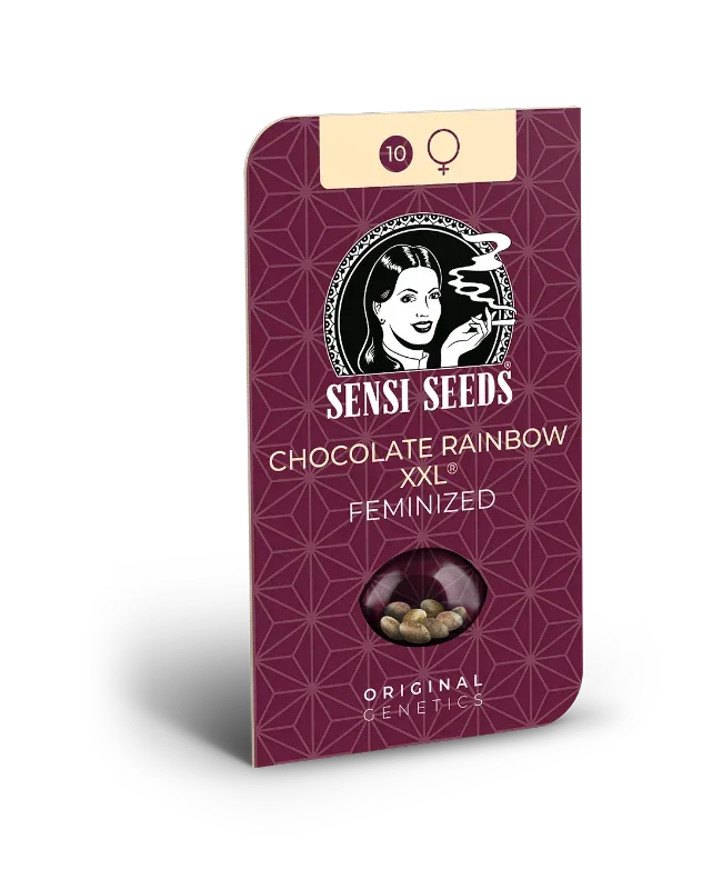 Verpackung der feminisierten Sorte Chocolate Rainbow Xxl von Sensi Seeds mit stylisiertem Design in Dunkelrot