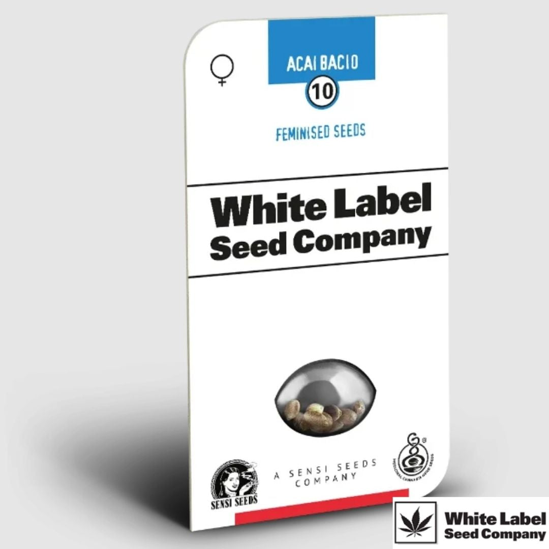 Acai Bacio Verpackung von White Label Seeds mit feminisierten Cannabissamen