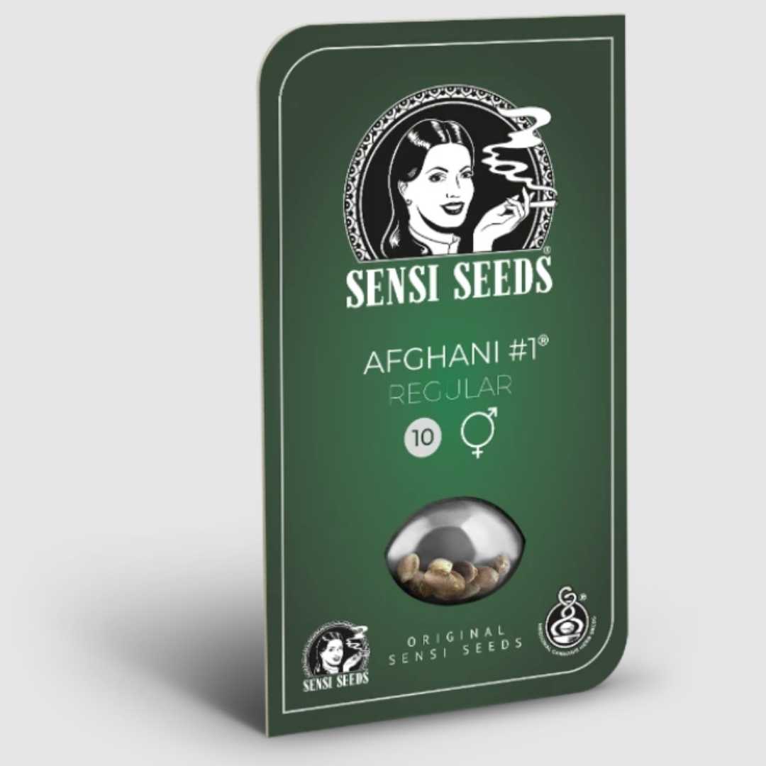 Grüne Sensi Seeds Verpackung für Afghani #1 Regular mit Sichtfenster für Hanfsamen