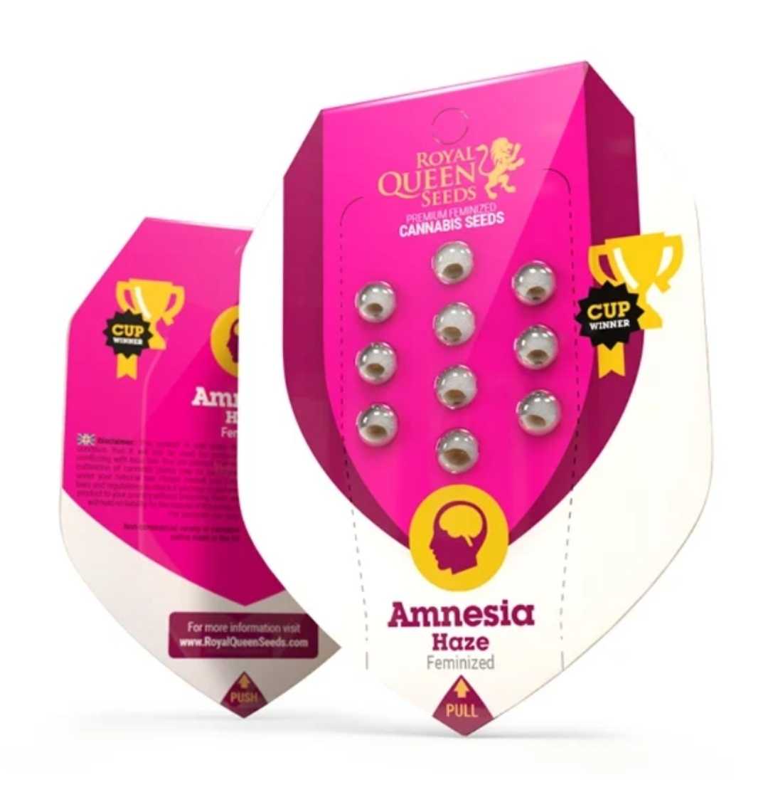 Amnesia Haze Samenpackung von Royal Queen Seeds, pinkes Etui mit geöffneten Samenfächern und Cup-Auszeichnung.