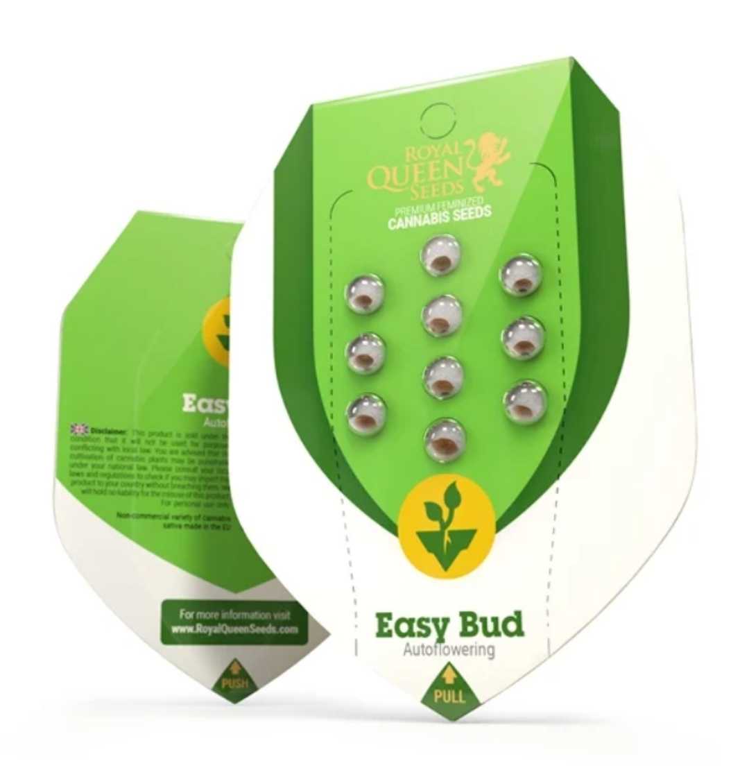 Verpackung der Auto Easy Bud Samen von Royal Queen Seeds mit acht sichtbaren Samen.