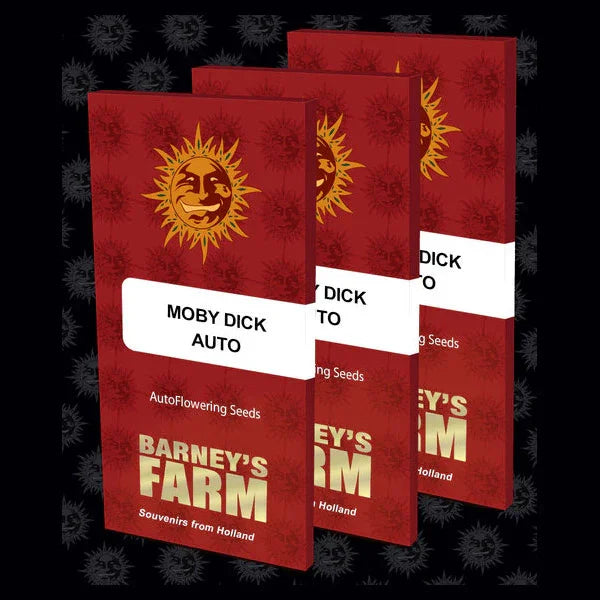 Samenverpackungen von Auto Moby Dick von Barney’s Farm mit rotem Design und goldener Sonne