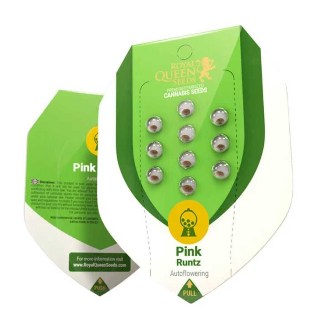 Auto Pink Runtz Samenpackung von Royal Queen Seeds mit 10 autoflowering Samen