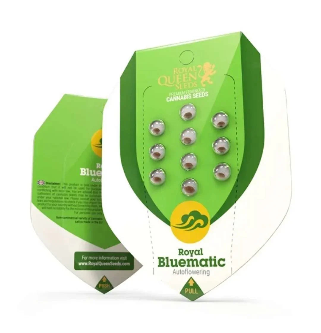 Royal Bluematic Samenverpackung von Royal Queen Seeds mit acht Samen und grüner Markenoptik.