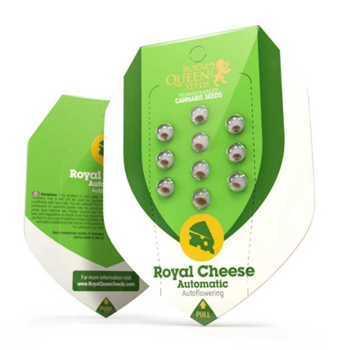 Verpackung der Auto Royal Cheese Samen von Royal Queen Seeds mit Samen sichtbar.