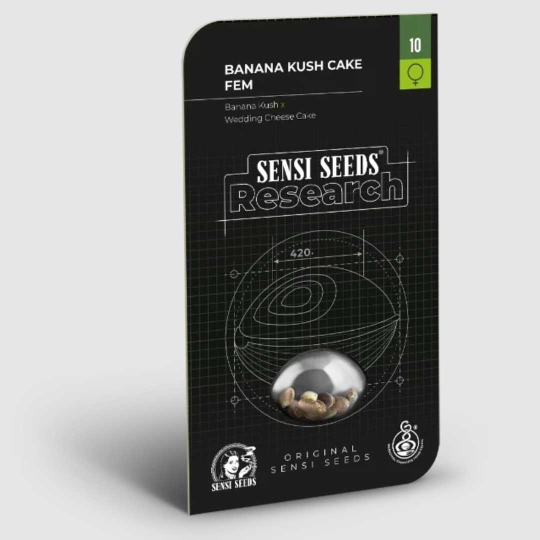 Schwarze Sensi Seeds Verpackung der Sorte Banana Kush Cake Feminised mit Sichtfenster für Samen