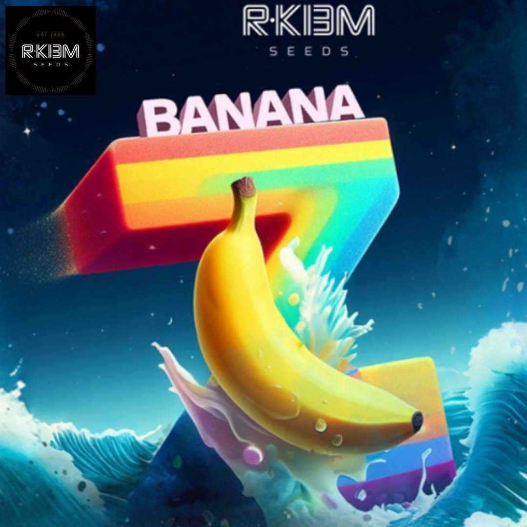 Banana Z Logo mit gelber Banane und buntem Z Design, fruchtiges Cannabis Strain Branding