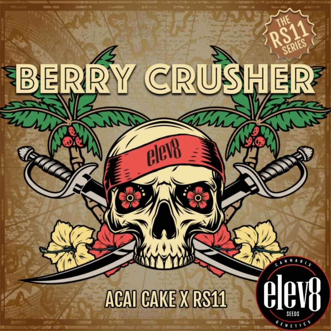 Berry Crusher Artwork mit Totenkopf, Säbeln und Palmen als Elev8 Seeds Motiv