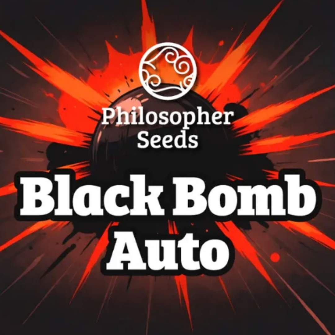 Black Bomb Auto Logo von Philosopher Seeds mit markantem Schriftzug und ikonischem Emblem