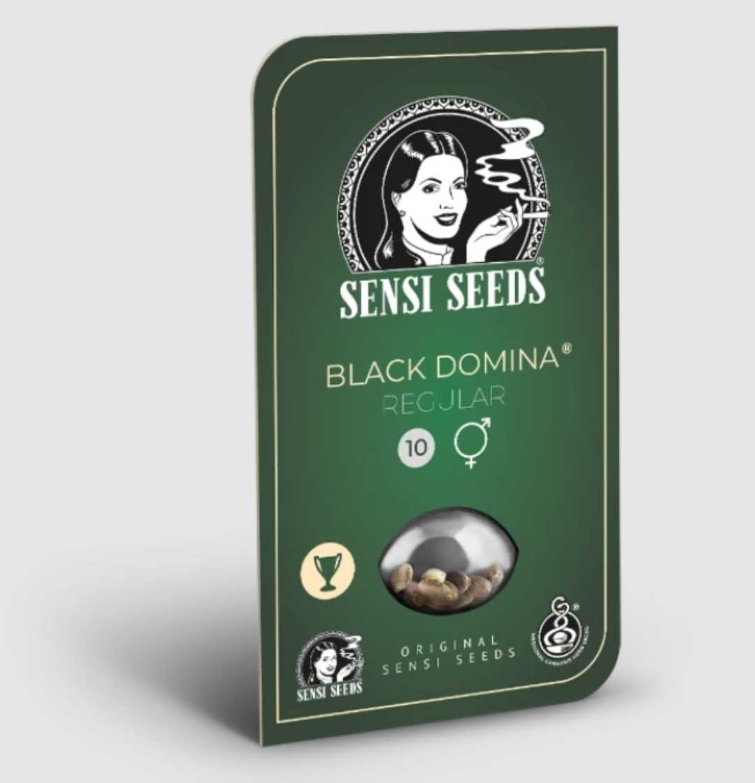 Sensi Seeds Verpackung Black Domina Regular mit Sichtfenster für 10 reguläre Samen