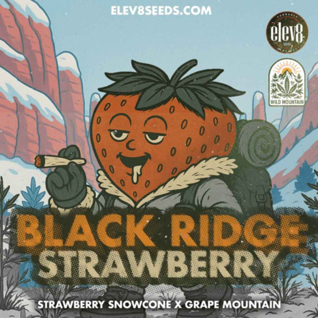 Black Ridge Strawberry Cartoonfigur mit Erdbeerkopf, die entspannt einen Joint hält und Outdoor-Vibes verkörpert