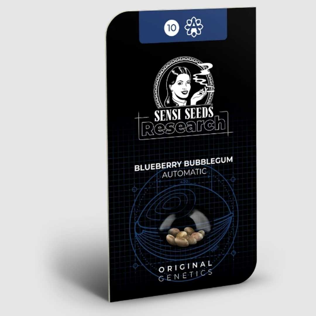 Sensi Seeds Research Verpackung der Blueberry Bubblegum Automatic Samen mit Original Genetics Logo