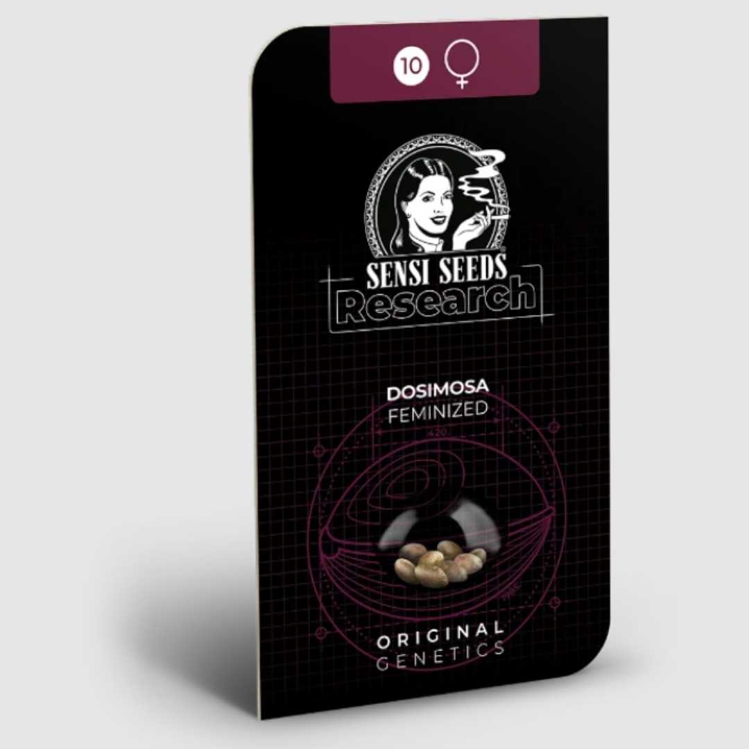 Dosimosa feminisierte Samenpackung von Sensi Seeds Research mit Sichtfenster und Sortenlogo