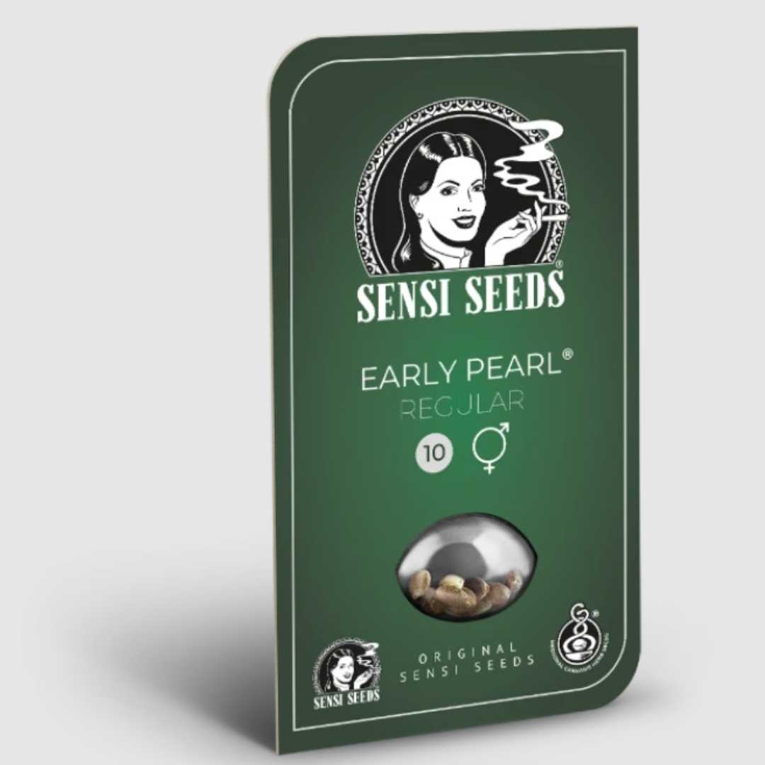 Early Pearl (Sensi Seeds) Regular