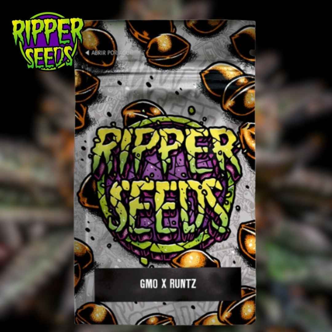 GMO x Runtz Samenverpackung mit farbigem Ripper-Seeds-Logo und Sortennamen auf schwarzem Etikett