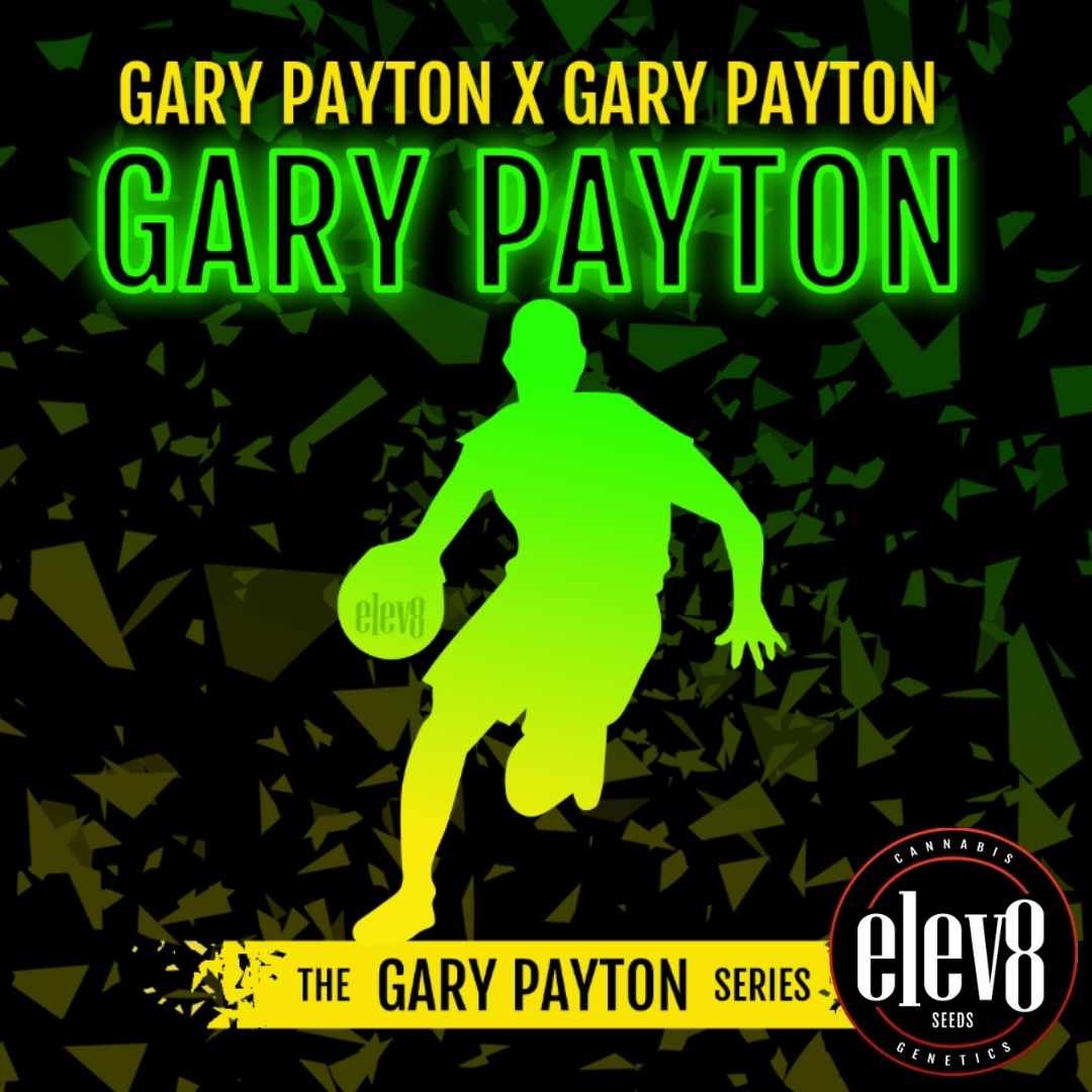 Gary Payton S1 Artwork mit grünem Spieler-Silhouettenmotiv von Elev8 Seeds