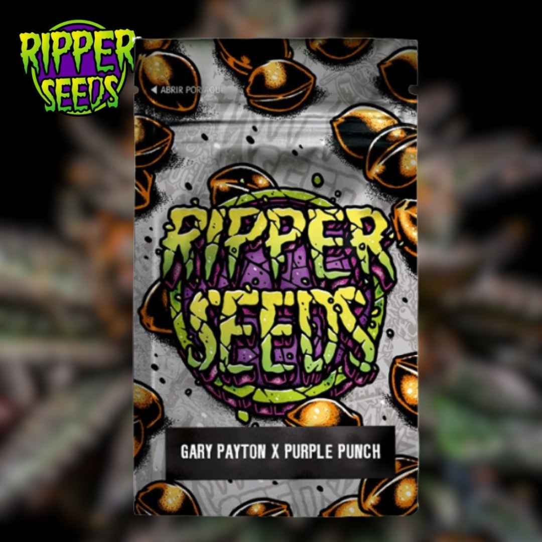 Gary Payton x Purple Punch Samenverpackung von Ripper Seeds mit auffälligem grün-violettem Logo