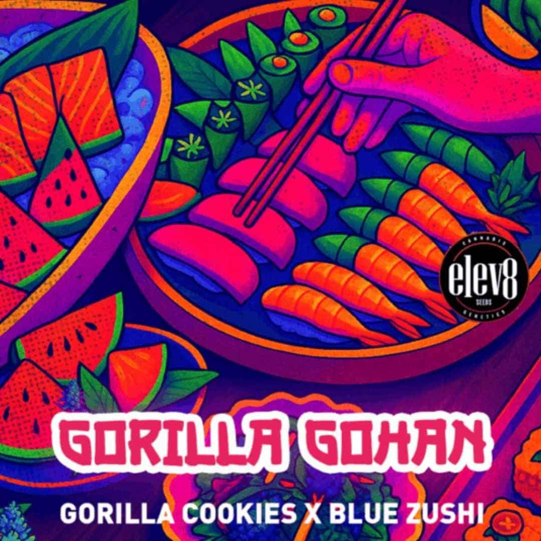 Gorilla Gohan Artwork mit buntem Sushi, Wassermelone und Essstäbchen im Elev8 Seeds Stil