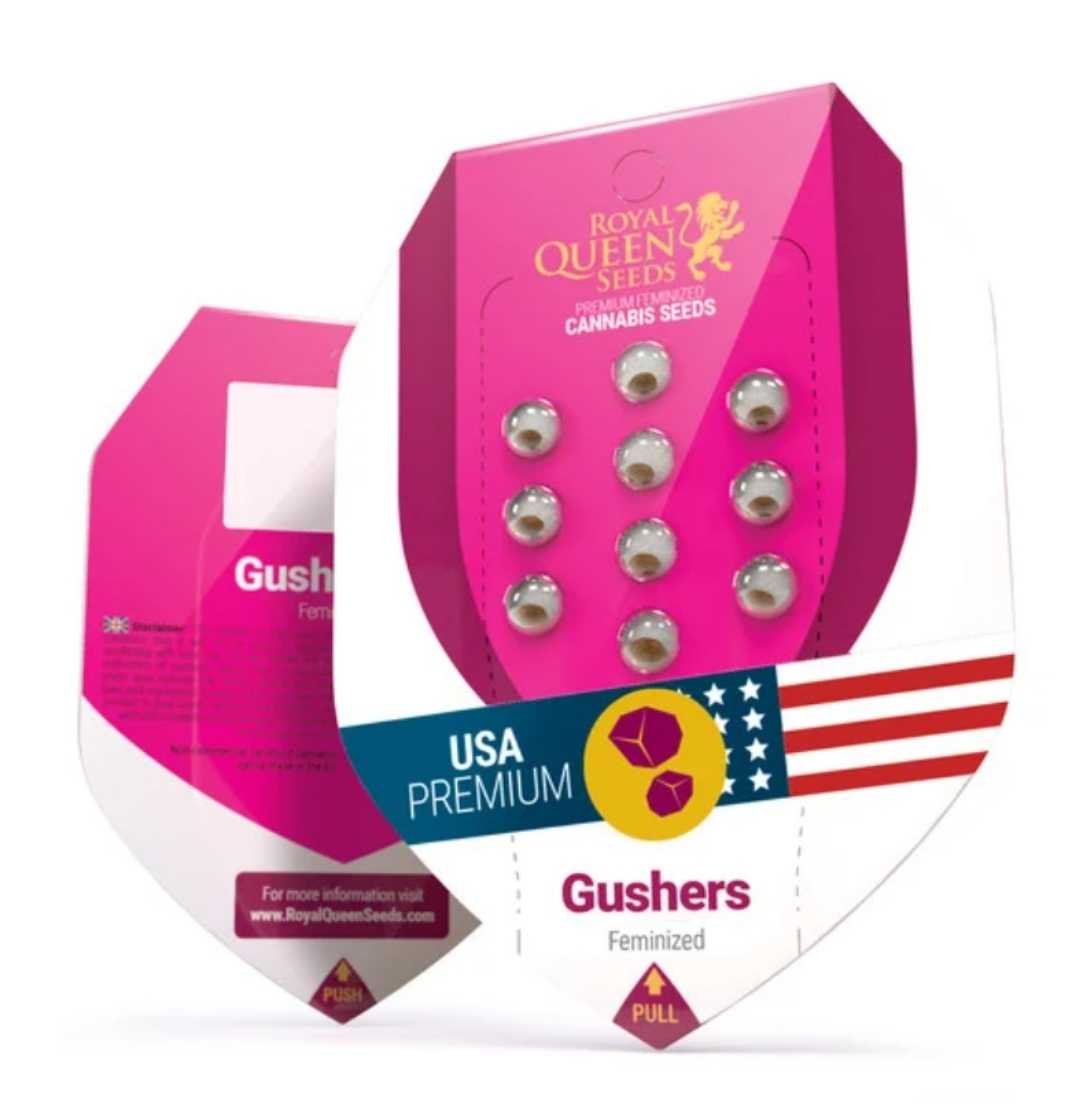 Gushers feminisierte Samen von Royal Queen Seeds in pinker Premium-Verpackung