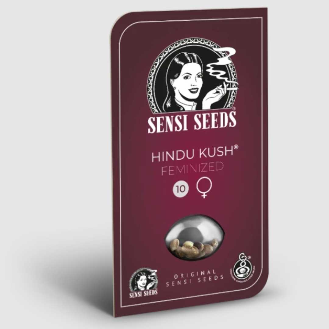 Sensi Seeds Hindu Kush feminisierte Hanfsamen in dunkelroter Verpackung