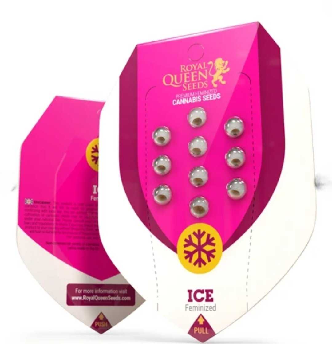Royal Queen Seeds Verpackung der Sorte Ice mit feminisierten Samen in auffälligem Pink-Design