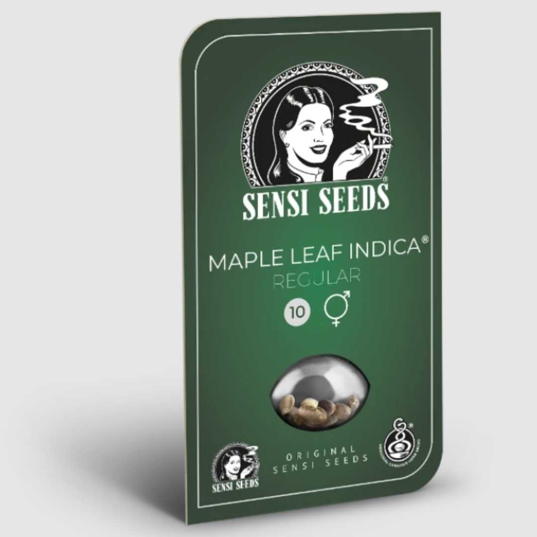 Maple Leaf Indica Saatgutverpackung mit grünem Branding und Sensi Seeds Logo