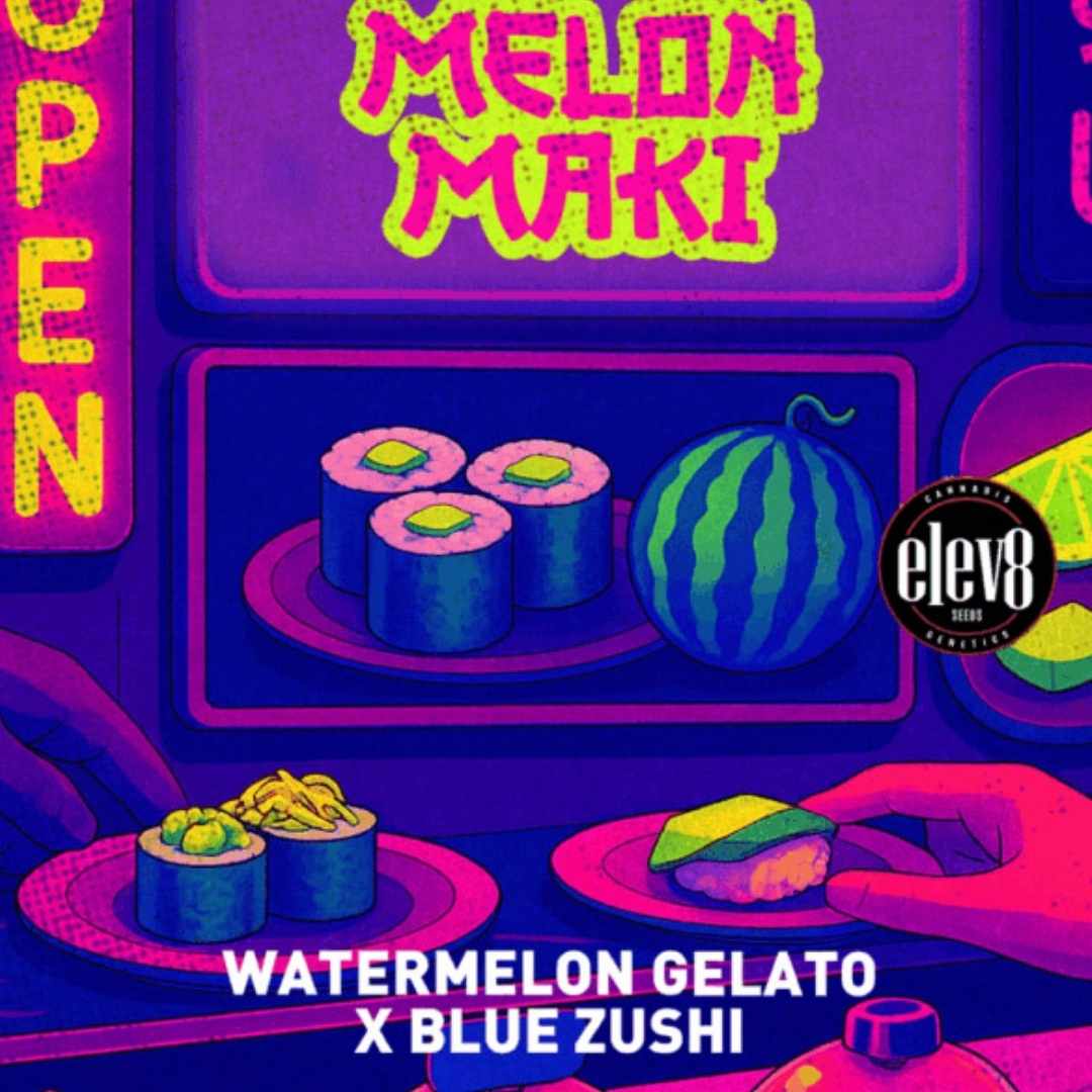 Melon Maki Artwork mit Sushi, Wassermelone und farbigen Neon-Details im elev8 Seeds Stil