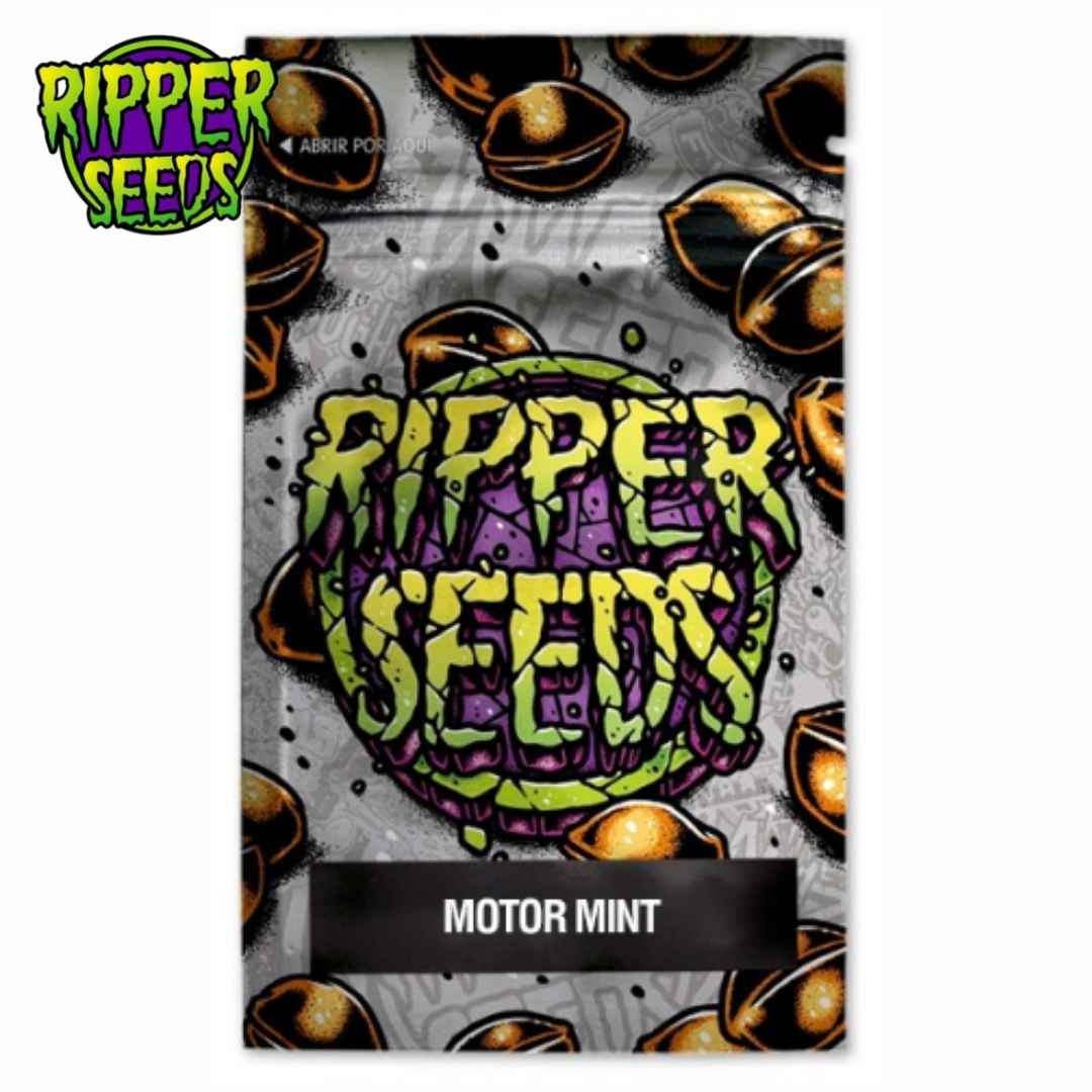 Motor Mint Samenverpackung mit farbigem Ripper-Seeds-Logo und Sortennamen