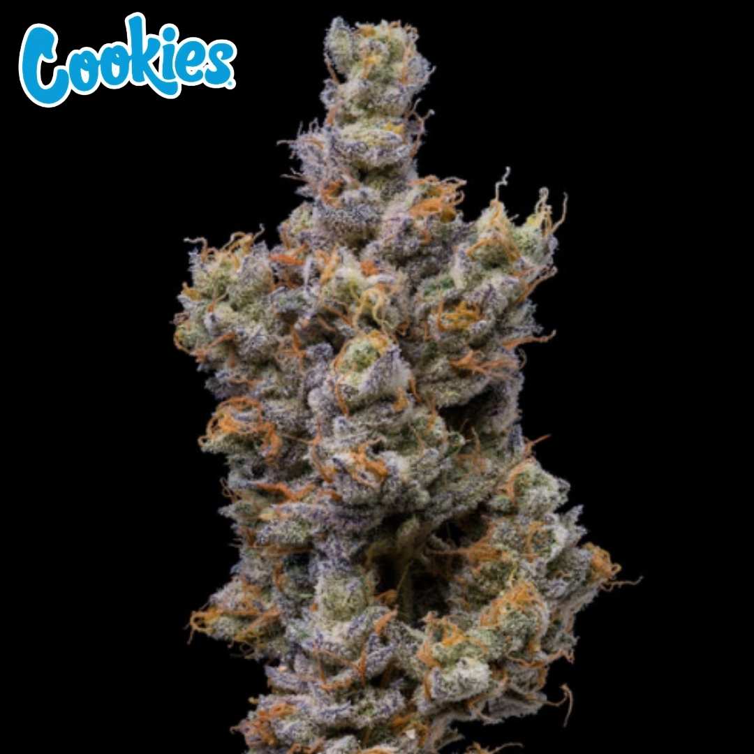Peach Tea Cannabis Blüte dicht und harzig mit orangefarbenen Härchen und violetten Nuancen