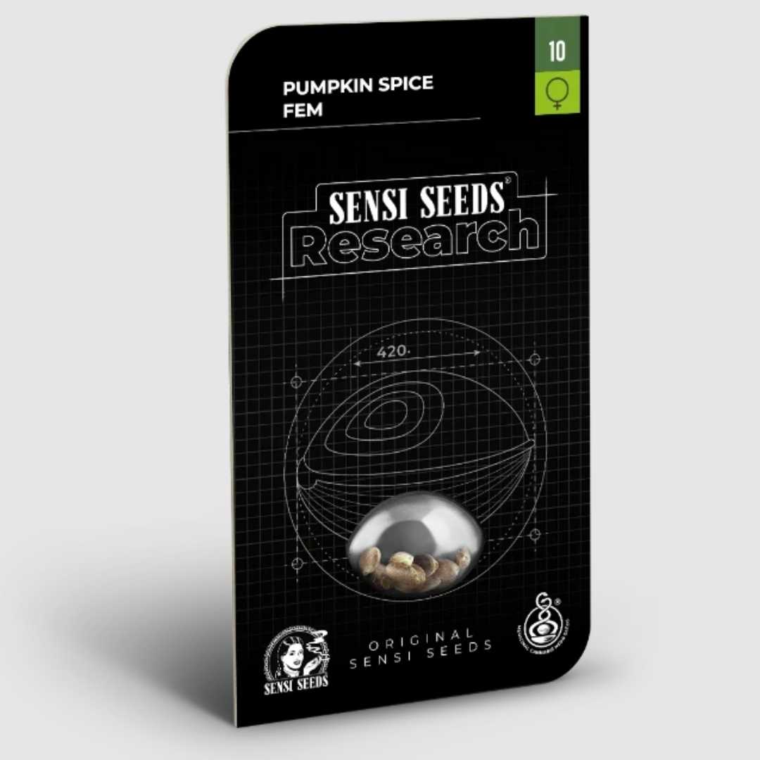 Pumpkin Spice feminisierte Saatgutbox von Sensi Seeds Research mit Logo und Samenkapsel