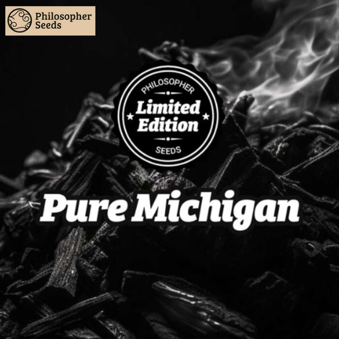 Pure Michigan Limited Edition Logo über rauchender Holzkohle mit markantem weißem Schriftzug.