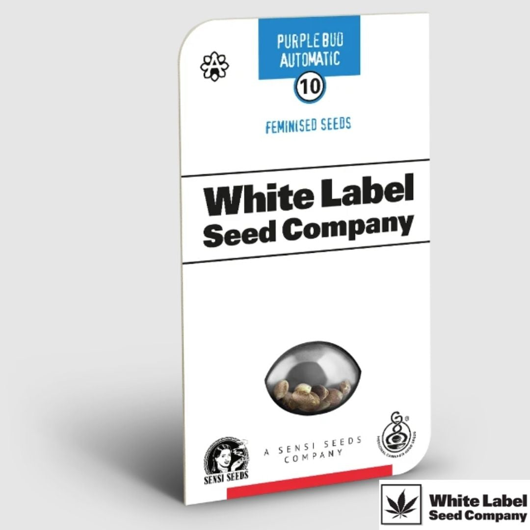 Purple Bud Automatic Samenverpackung von White Label Seed Company