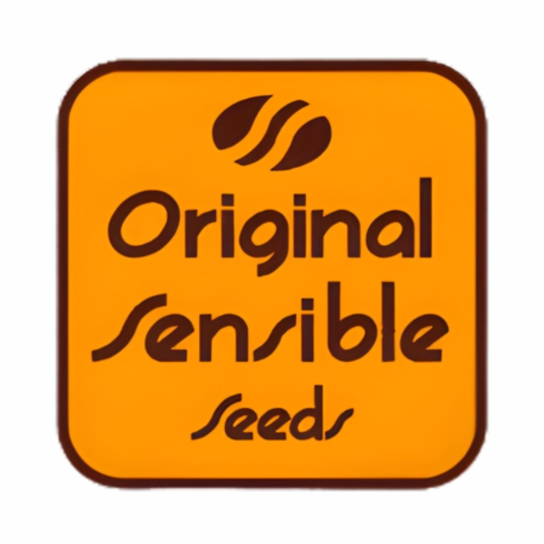 Auto Purple Lemon Tree XL (Original Sensible) Feminisiert