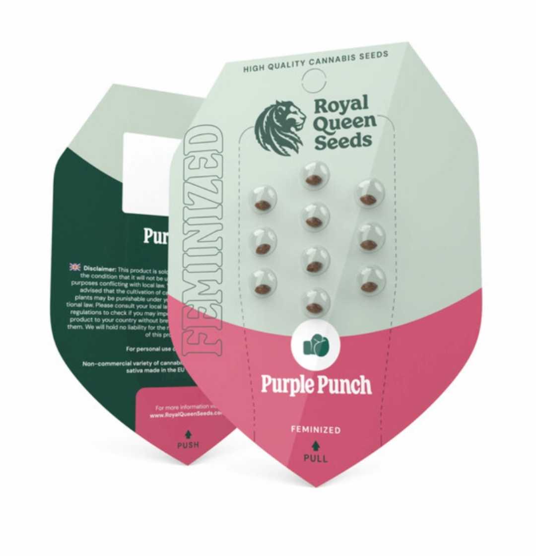 Verpackung mit Royal Queen Seeds Purple Punch feminisierten Cannabissamen, transparent und kompakt.