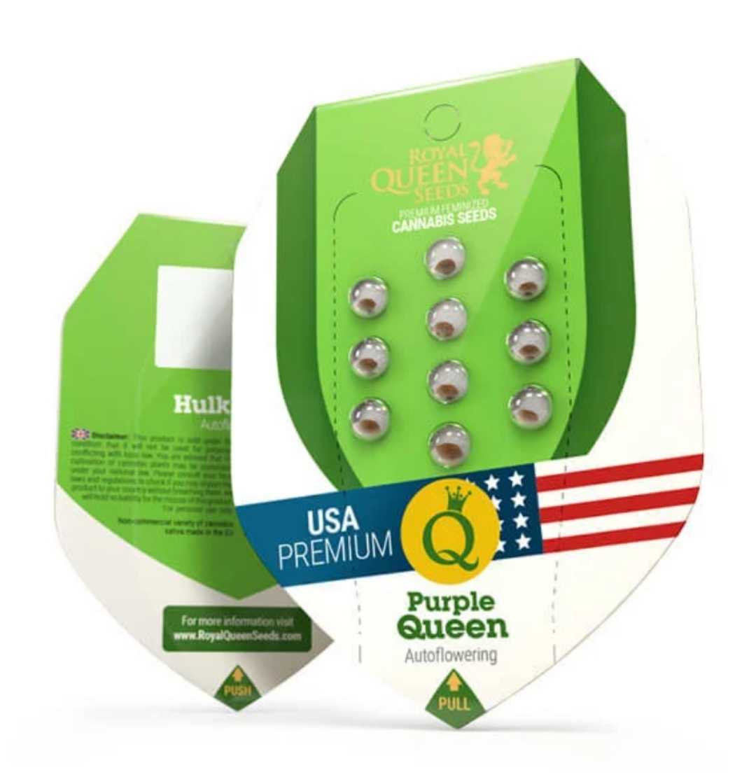 Purple Queen Auto Samenset von Royal Queen Seeds im grünen Premium-Blister mit USA-Label und zehn Saatkammern