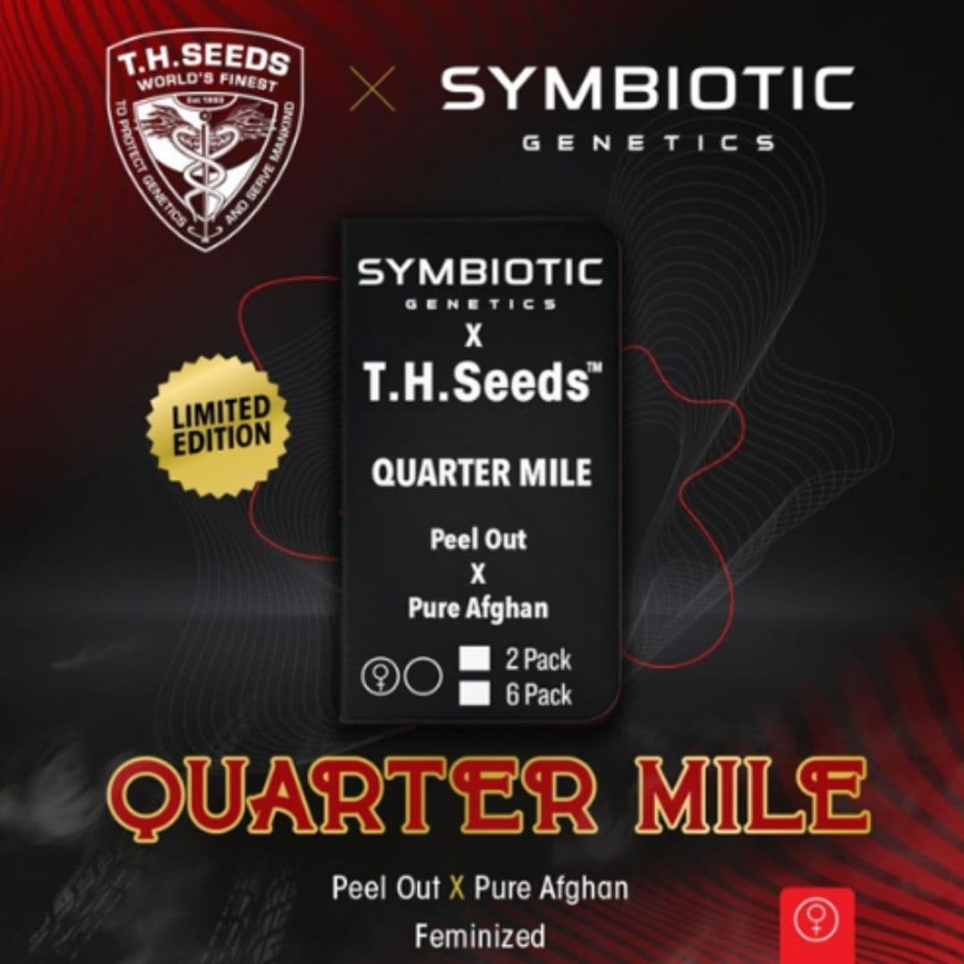 Quarter Mile (T.H. Seeds) Feminisiert