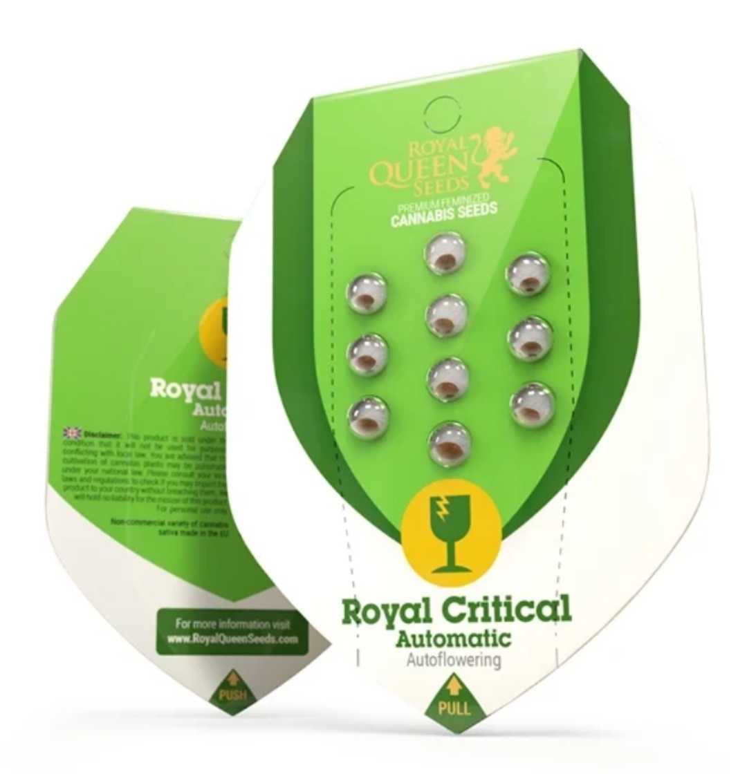 Samenpackung Royal Critical Auto von Royal Queen Seeds, grüne Blisterverpackung mit neun Samenkammern